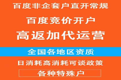 百度推广代运营公司：精准定位，助力品牌传播
